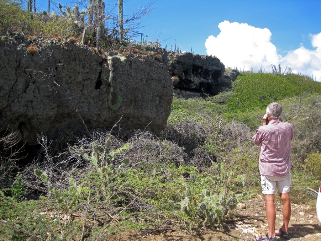 63-A lot of bolcactus.jpg - A lot of bolcactus